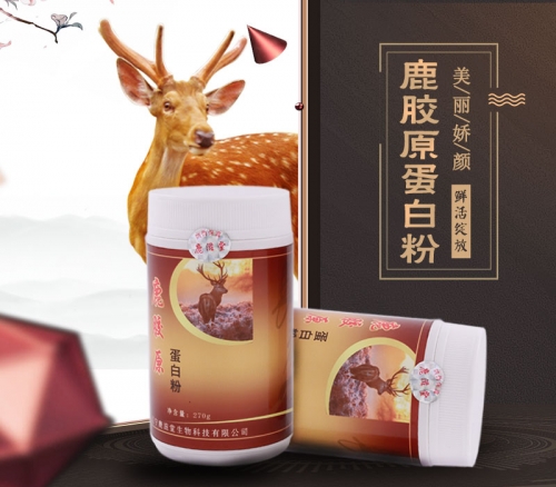 深圳鹿膠原蛋白粉